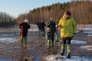 Прогулка по болоту, Междуреченский региональный ландшафтный парк